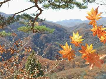 秦岭隧道最新消息,秦岭隧道建设最新进展揭晓。